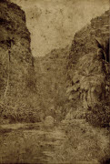Vue du Bernica, Saint-Paul / [Non identifié]. - [La Réunion], [1870-1880]. - 1 photogr. pos. : papier albuminé ; 23,2 x 15,8 cm.