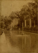 Saint-Denis : le Jardin de l'État / H. Georgi phot.. - La Réunion, [1887-1889]. - 1 photogr. pos. : papier albuminé ; 22,2 x 16 cm.