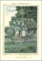 LA RÉUNION
